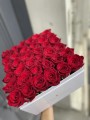 IMG_8338.jpeg
