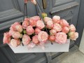 IMG_3215.jpeg