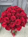 IMG_3881.jpeg