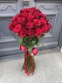 IMG_3886.jpeg