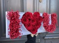 IMG_3026.jpeg