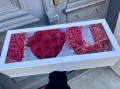 IMG_3028.jpeg