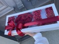 IMG_3292.jpeg